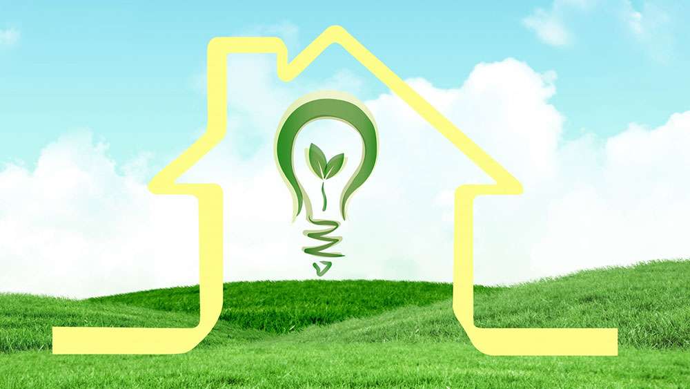 Abstract house and lightbulb in a meadow